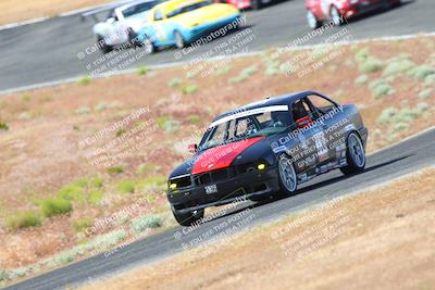 media/May-06-2023-Lucky Dog Racing (Sat) [[8f2256f436]]/Turn 2 10a/